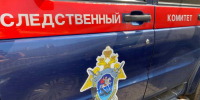 В Курской области женщину обвиняют в убийстве мужа - Курские Известия