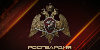 Ключевые события Росгвардии: итоги недели с 3 по 9 августа - Росгвардия