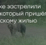 Поделитья во ВКонтакте - Братская Студия Телевидения
