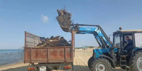 Более 650 кубометров штормовых отходов вывезли с пляжей Анапы - Газета Краснодарские известия