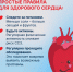 С 10 по 16 августа в России проходит Неделя профилактики сердечно-сосудистых заболеваний - Детская клиническая больница