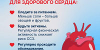 С 10 по 16 августа в России проходит Неделя профилактики сердечно-сосудистых заболеваний - Детская клиническая больница