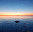 На берегу Ильмень-озера заброшенный коровник превратили в арт-галерею - Газета Новгород
