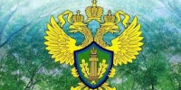 Нарушения экологических требований выявлены на Балахнинском полигоне ТБО - Росприроднадзор