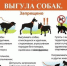 Внимание! - Усть-Таркский район