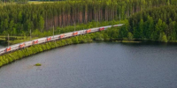 Пожилой петербуржец попал под колеса электрички в Лужском районе - 47 новостей