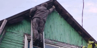 Под Орлом уничтожили опасных насекомых - РИА 57
