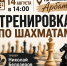 Тренировка по шахматам - Управление культуры, спорта и молодежной политики
