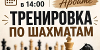Тренировка по шахматам - Управление культуры, спорта и молодежной политики