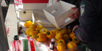 Россельхознадзор проконтролировал импорт 14 тыс. тонн растительной продукции в Дагестан - РИА Дагестан