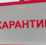 В Тюменской области на дорогах введён карантин: дезинфекция транспорта из‑за угрозы свиного заболевания - NG72.Ru