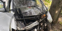 Пассажир Opel Zafira погиб при наезде на дерево в себежской деревне - Pln-Pskov.Ru