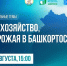 В двух районах Башкирии объявят ЧС в сельском хозяйстве - Сетевое издание Республика Башкортостан