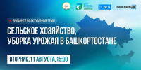 В двух районах Башкирии объявят ЧС в сельском хозяйстве - Сетевое издание Республика Башкортостан