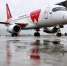 В Екатеринбурге из-за поломки сел самолет авиакомпании Red Wings - EaNews.Ru