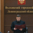 Интернет-продажа коллекционных фигурок закончилась уголовным делом в Волхове - SyasNews.Ru