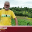 Видео - ТВН