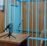 Суд оставил под стражей обвиняемого в тяжком ДТП: итоги первого заседания в Ивановском районном суде - Ивановский районный суд