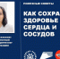 44ab66c144434e6bab8a60c097a79acc.jpg - Детский санаторий Лесная сказка