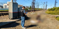 В Омске и Бурятии смертельно травмированы на железной дороге две пожилые женщины - Газета Красноярский рабочий