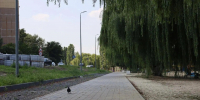 В Белгородской области почти на 50% выполнено обновление набережной реки Осколец - Комсомольская Правда