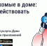 Как борьться с насекомыми в многоквартирном доме. - Краснояружский район
