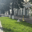 JPG Файл - УМВД по Екатеринбургу 