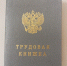 Туляков предостерегли от потери бумажной трудовой книжки - Молодой коммунар