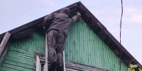 Орловские спасатели ликвидировали гнездо шершней - Орловский Вестник