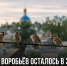 А сколько воробьёв осталось в Задонске? Жителей приглашают их пересчитать - Газета Задонская правда