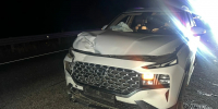 В Орловской области столкнулись две иномарки - Комсомольская Правда
