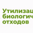 Памятка для населения  по сбору, хранению, перемещению, утилизации и уничтожению биологических отходов - Администрация г. Волжский