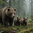 bn8St - NeruLife.Ru