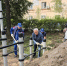 Владимир Васильев взял на контроль благоустройство сквера в Твери - Афанасий-биржа