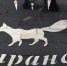 Сколько в Саранске народных дружин — факты - Столица С