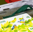 Visa и Mastercard в России отмирают - SeverPost.ru