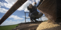 Экспорт продукции агрокомплекса Татарстана в Китай вырос до 33,5 млн долларов - Комсомольская правда Казань