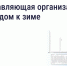 Подготовка дома к зиме: что обязана сделать управляющая организация - Министерство ЖКХ, топлива и энергетики