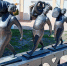 В Рязани открылась ярмарка меда - RyazPressa.Ru