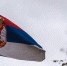 В АТОР не ждут отмены для россиян безвизового режима с Сербией в 2027 году - M24.Ru