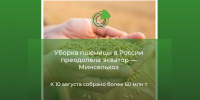 Брянская область уверенно удерживает передовые рубежи в уборке пшеницы, подтверждая высокий аграрный потенциал региона - Департамент сельского хозяйства