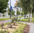 Фото департамента городского хозяйства города Тюмени, автор неизвестен - Tumentoday.Ru