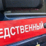 В Гагаринском районе собака напала на 10-летнего мальчика. СК расследует дело - Четвертая Власть
