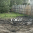 В Асино ликвидировали гору древесных отходов по соседству с лошадьми - Комсомольская Правда