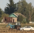 Погоня за пьяным трактористом в Башкирии попала на видео - ProUral.Info