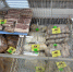 В Тамбове выявлены факты реализации обезличенной мясной продукции - Россельхознадзор