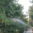 22bb1253-b067-4be3-a598-ca70d7c995b6 - Sochi24.tv