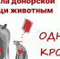 Портал «Одной Крови»: единая платформа донорской помощи животным в России - Управление ветеринарии