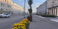 В Курске на улице установили липы в кашпо - Курские Известия
