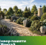 Фото ТГ-канала минстроя ДНР - НИА